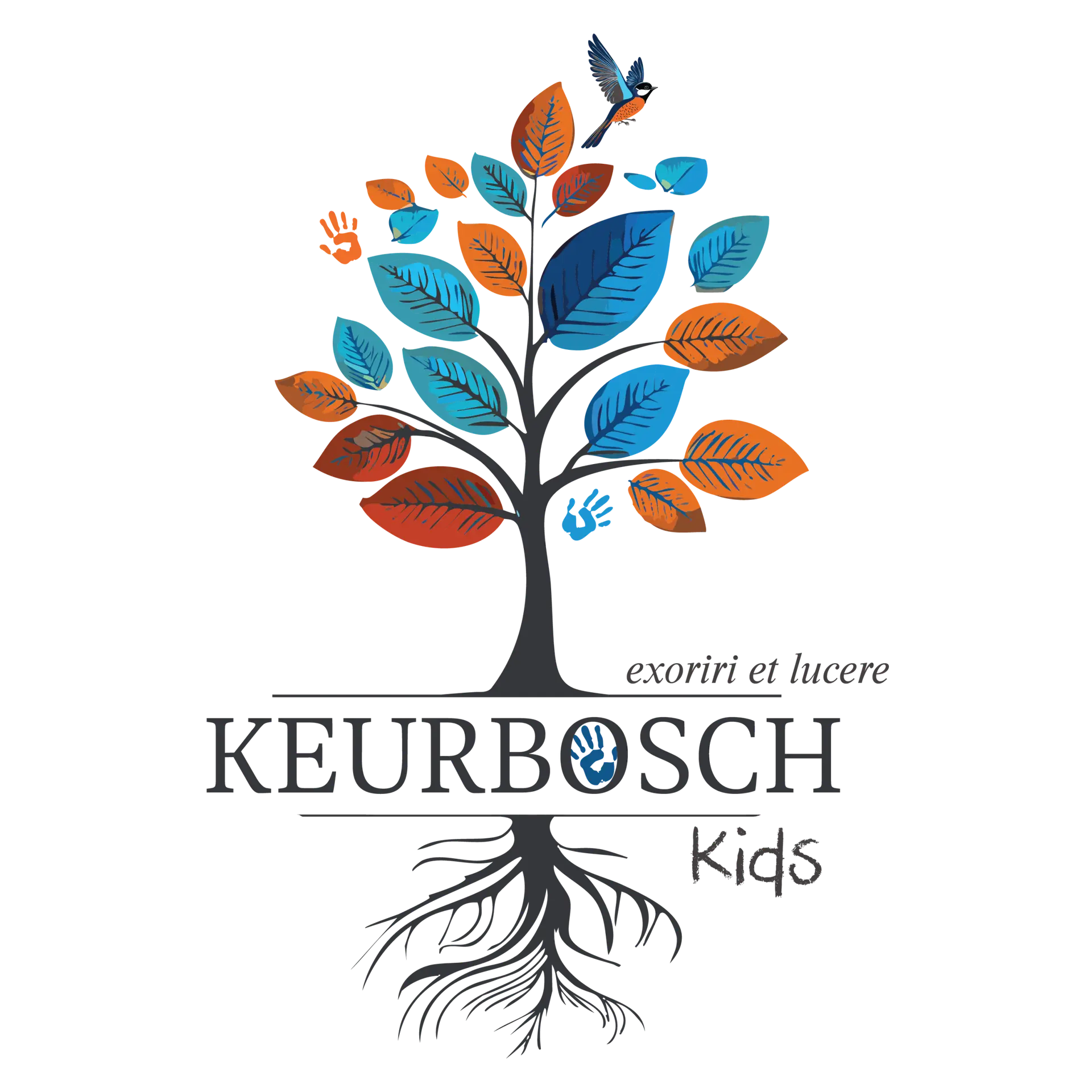 Keurbosch School Launches Pre-School!